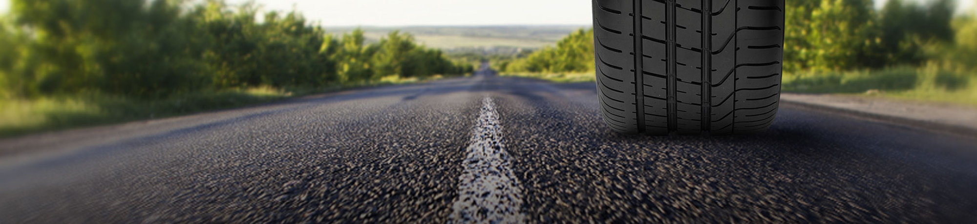 banner4.jpg